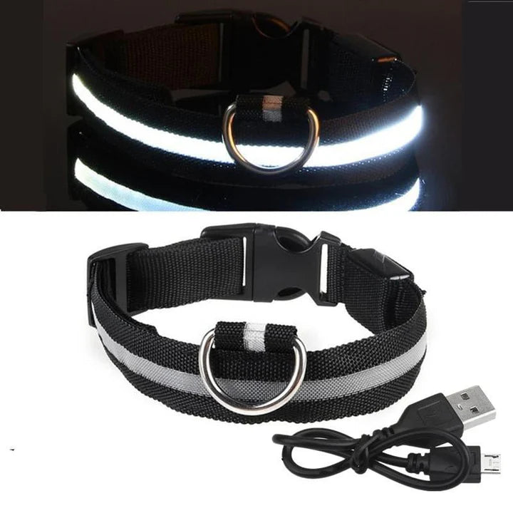 LED Hondenhalsband – Oplaadbaar, Waterbestendig & Ultra Zichtbaar | Veilig in het Donker