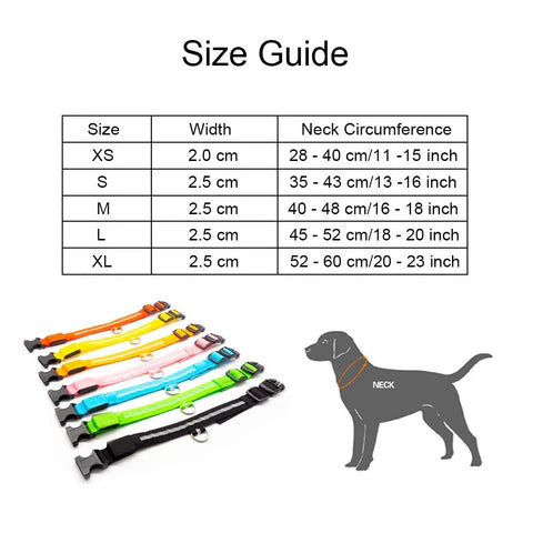 LED Hondenhalsband – Oplaadbaar, Waterbestendig & Ultra Zichtbaar | Veilig in het Donker