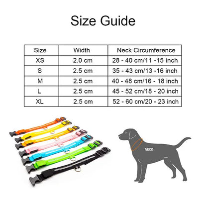 LED Hondenhalsband – Oplaadbaar, Waterbestendig & Ultra Zichtbaar | Veilig in het Donker